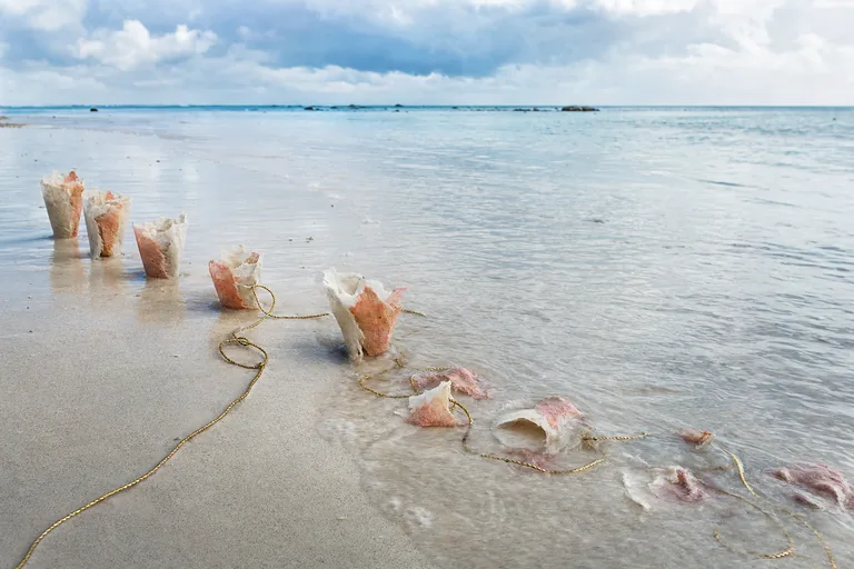 Tidal water gradually softens temporary sand-and-paper forms while a gold cord disappears and reemerges.