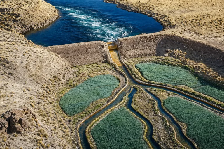 An earthen dam redirects turbulent blue water through a gold spillway into calm branching fields.