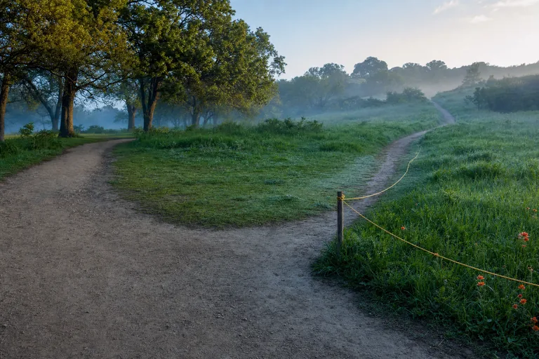 A worn walking loop joins a later running trail, with a gold cord returning toward the familiar path.